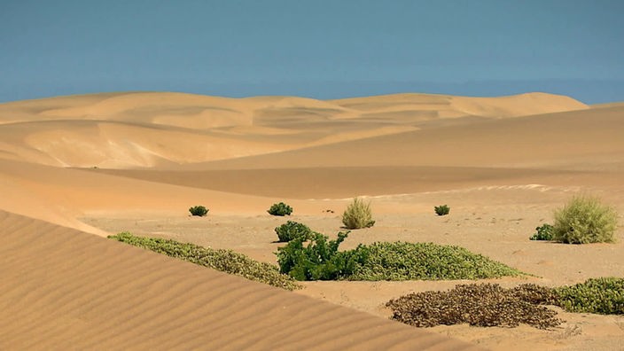 Die Wüste Namib 