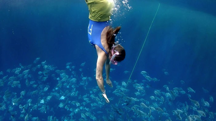 Tamina Kallert taucht in einem Fischbecken auf Rhodos 