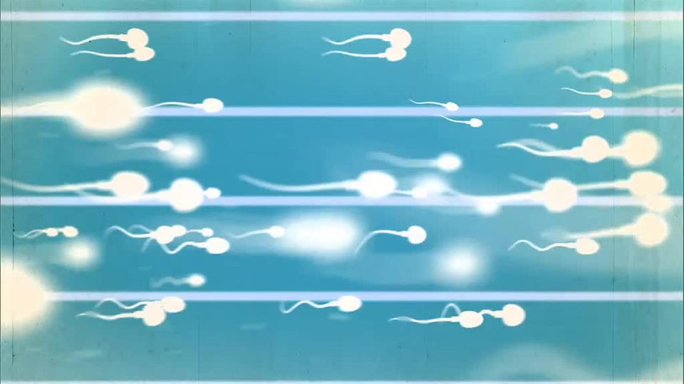 Grafische Darstellung von schwimmenden Spermien