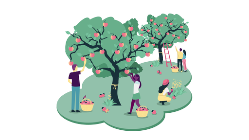 Illustrierte Obstbäume und Personen, die Äpfel sammeln.
