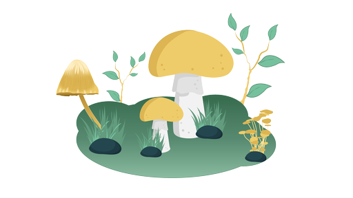 Auf dem Bild sieht man eine Illustration von verschiedenen Pilzen.
