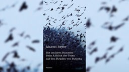 Buchcover: "Die tonlosen Stimmen beim Anblick der Toten auf den Straßen von Butscha" von Marcel Beyer