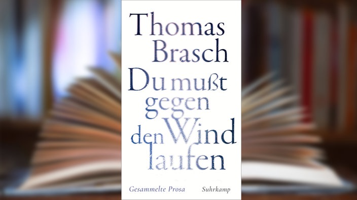 Buchcover: "Du mußt gegen den Wind laufen" von Thomas Brasch