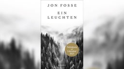 Buchcover: "Ein Leuchten" von Jon Fosse