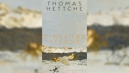 Buchcover: "Sinkende Sterne" von Thomas Hettche