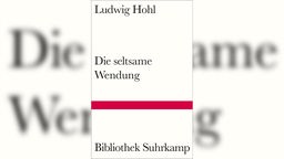 Buchcover: "Die seltsame Wendung" von Ludwig Hohl