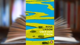Buchcover: "Über den Strom" von Rosa Liksom