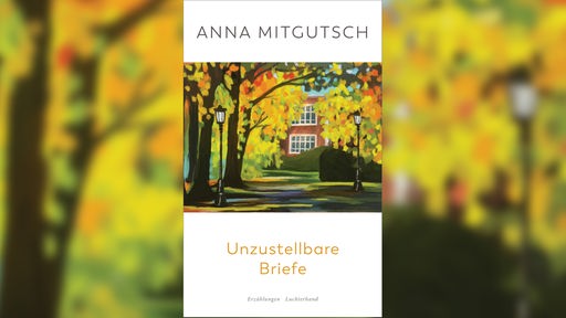 Buchcover: "Unzustellbare Briefe" von Anna Mitgutsch