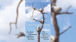 Buchcover: "In den Bäumen blühen Steine" von Cees Nooteboom