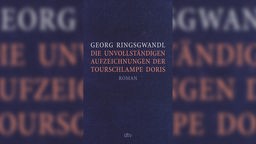 Buchcover: "Die unvollständigen Aufzeichnungen der Tourschlampe Doris" von Georg Ringsgwandl