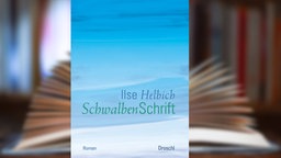 Buchcover: "Schwalbenschrift" von Ilse Helbich