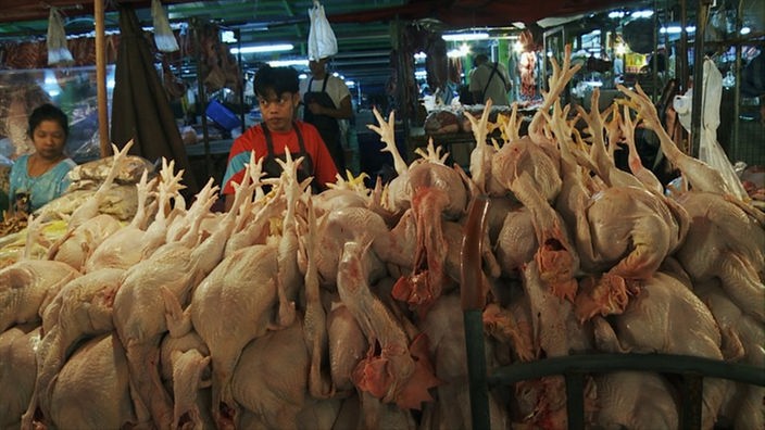 Geschlachtete Hühner auf einem Markt in Bangkok