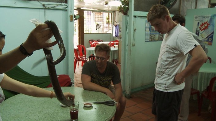 Felix und Max trinken Kobrablut in Vietnam in einer Küche