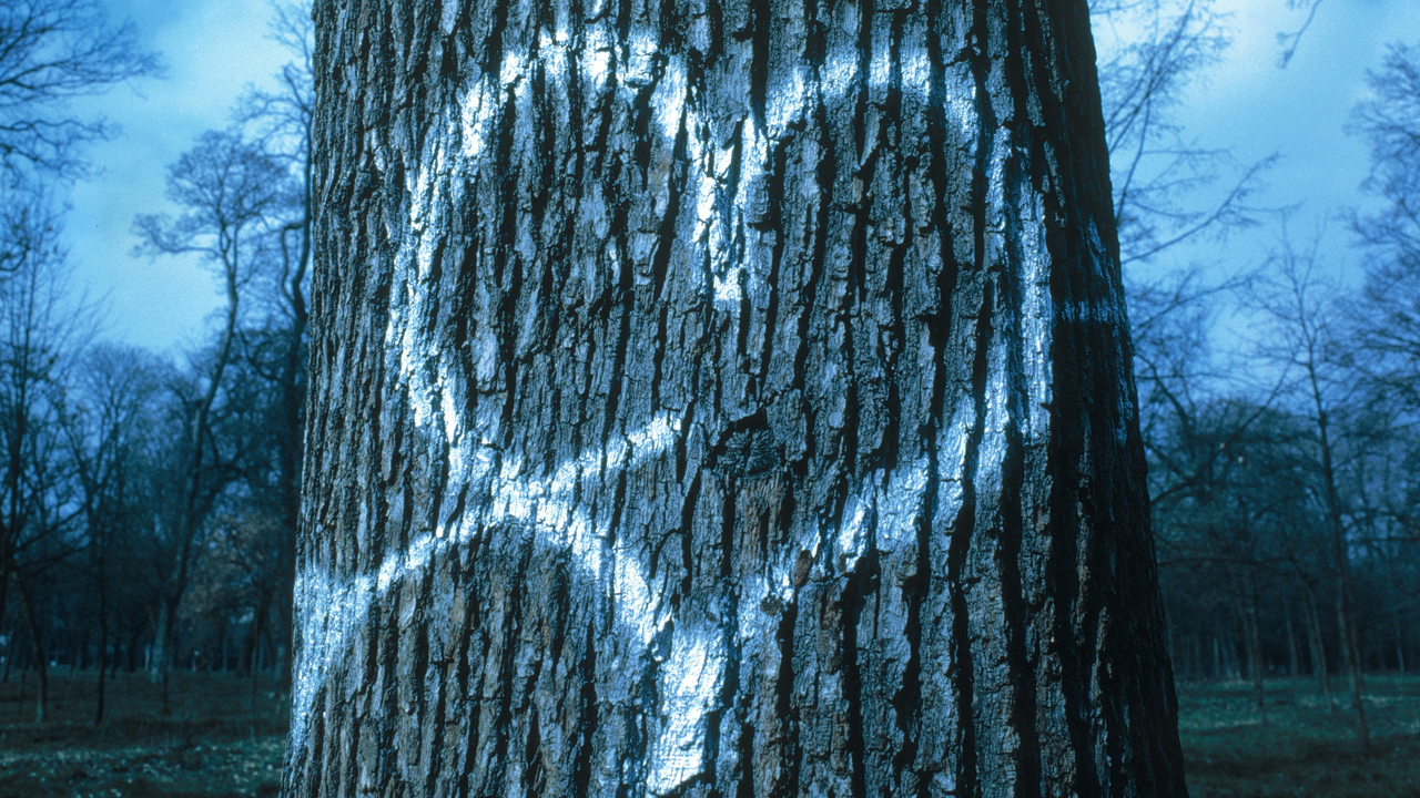 Herz mit Pfeil auf einen Baum gesprüht; Rechte: Mauritius Images