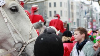 Archiv-Bild: Pferde im Kölner Karneval 2010
