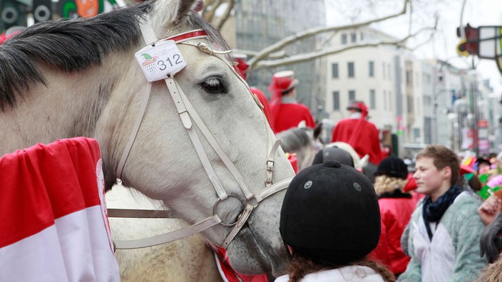 Archiv-Bild: Pferde im Kölner Karneval 2010