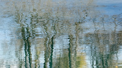 Reflexion im Wasser