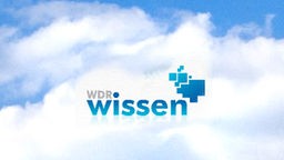 WDR Wissen