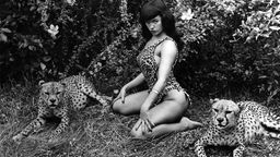 Betty Page als "Jungle Queen" mit Leoparden, 1954