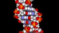 DNA-Doppelhelix in vergrößerter Darstellung von James Watson und Francis Crick