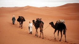 Karawane in der Wüste Sahara