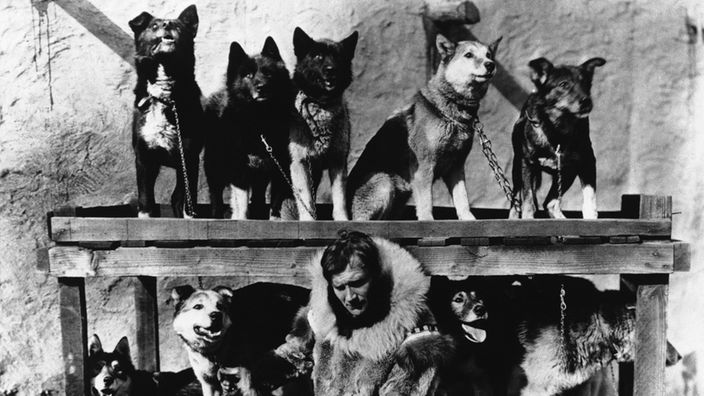 Gunnar Kaasen mit seien Hunden, 1925
