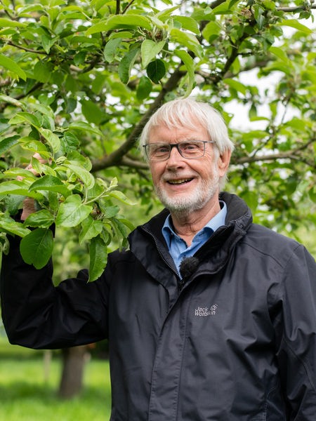 Der Baumwart Klaus Flaskamp, ein älterer Mann mit Brille und schwarzer Regenjacke, steht vor einem Obstbaum und hält einen Ast in seiner rechten Hand.