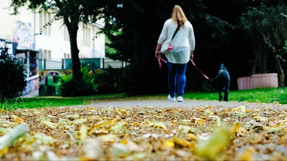 Eine Frau, von hinten fotografiert, geht mit ihrem Hund Gassi