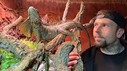 Manuel Krauß in seinem Terraristik-Geschäft neben einem Reptil