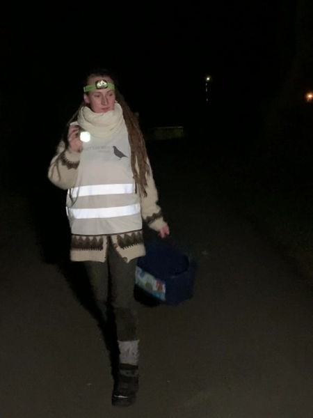 Ina Hackstein sucht im Dunkeln mit einer Taschenlampe nach Kröten