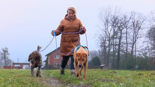 Daniela Teschner geht mit ihren Hunden spazieren