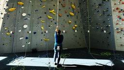 Eine Frau steht mit dem Rücken zur Kamera vor einer großen Kletterwand.