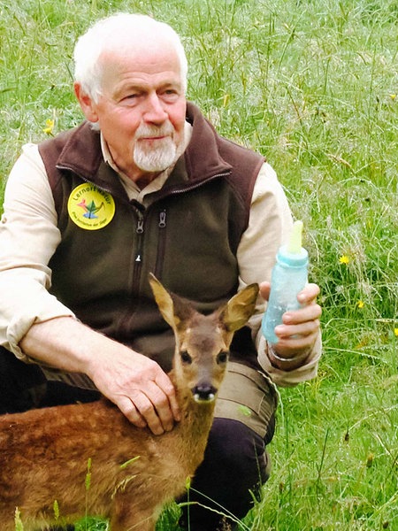 Jäger Hermann Carl streichelt Rehkitz Susi und hält ihr eine Nuckelflasche hin. Susi schaut aber Richtung Kamera.