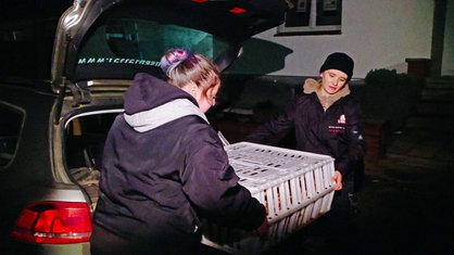 Zwei Personen tragen eine weiße Tragebox für Tiere 