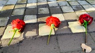 Drei Stolpersteine, daneben liegt jeweils eine rote Rose