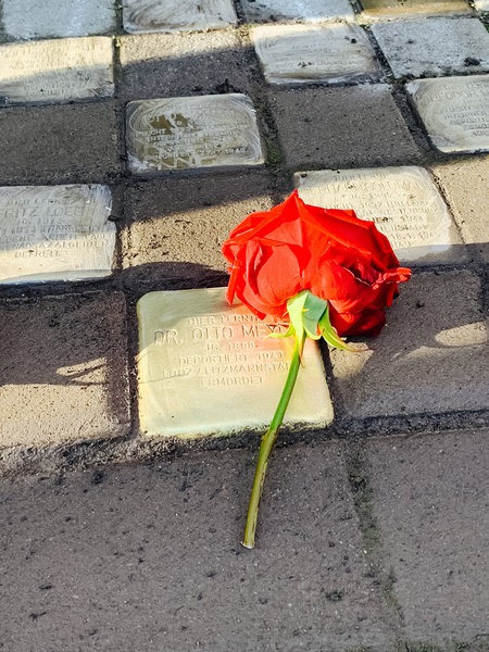 Drei Stolpersteine, daneben liegt jeweils eine rote Rose