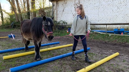 Ein Mädchen führt ein Pferd an einem Halfter über kleine Hindernisse.
