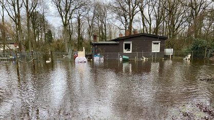 Ein kleines, braunes Holzhaus steht in einem wäldlichen Gebiet unter Wasser