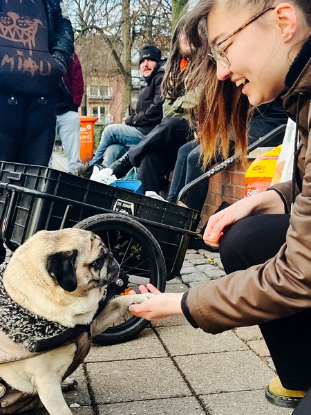 Eine junge Frau streichelt einen Hund, im Hintergrund ein Handwagen mit Futter