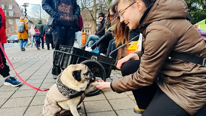 Eine junge Frau streichelt einen Hund, im Hintergrund ein Handwagen mit Futter