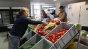 Frauen stehen vor Kisten mit Gemüse wie Tomaten, Gurken und Auberginen und sortieren dieses.