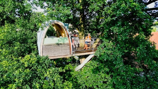 Ein Baumhaus in einer Baumkrone. Auf der Terrasse sitzt eine Frau und sonnt sich.