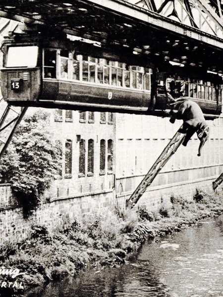 Fotomontage von einem Elefanten, der aus der Schwebebahn in die Wupper springt. Unten links ist "Tuffis Wuppersprung. Gruss aus Wuppertal" zu lesen.