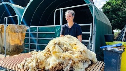 Man sieht eine Frau mit grauen Haaren, die hinter einem Haufen Schafswolle steht