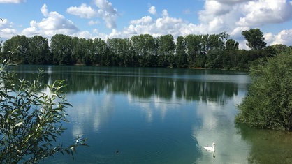 Der Escher See in Köln-Esch, umgeben von Bäumen