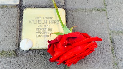 Ein Stolperstein mit dem Text "Hier lernte Wilhelm Herz JG. 1882 deportiert Auschwitz ermordet", daneben liegt eine rote Rose