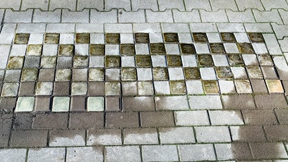 Mehrere Reihen Stolpersteine am Boden, man sieht an einigen Stellen, dass manche Steine frisch verlegt sind