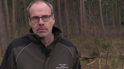 Mann mit Brille und Arbeitsjacke steht in einem Waldgebiet und spricht in Kamera