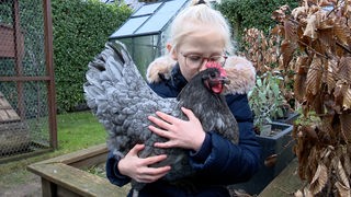 Ein kleines Mädchen küsst ein Huhn auf ihrem Arm