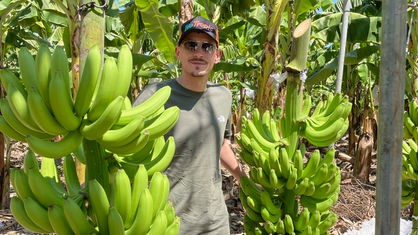 Ben Cikirikci steht in der Dominikanischen Republik zwischen Bananenstauden